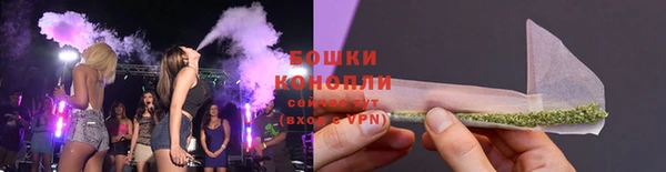прущие грибы Алексеевка