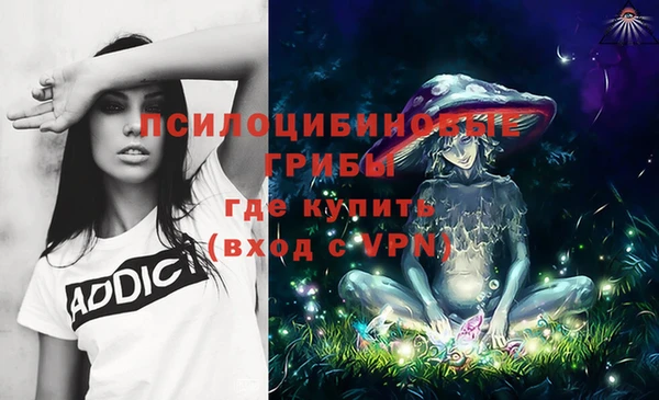 ешки Абаза