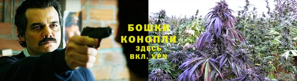 2c-b Алзамай