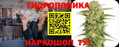 молекула духа Заводоуковск