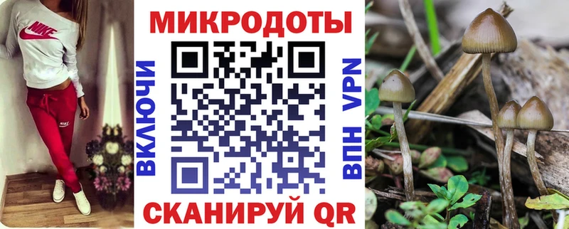 Галлюциногенные грибы GOLDEN TEACHER  закладки  Магнитогорск 