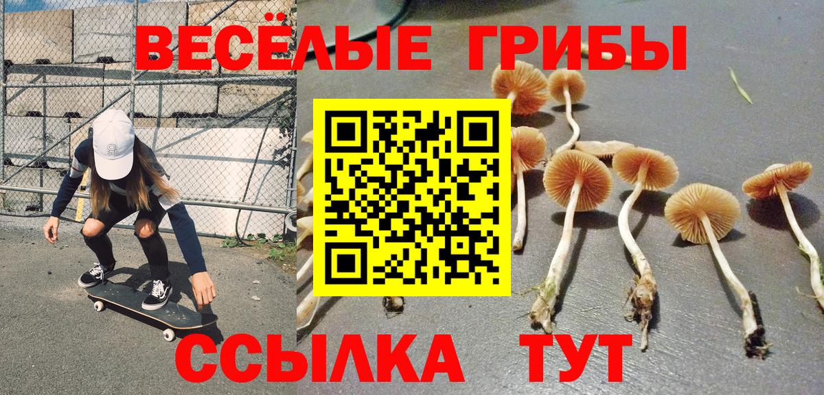Псилоцибиновые грибы Psilocybine cubensis  закладки  Галлюциногенные грибы мицелий  Магнитогорск  Вход с VPN 